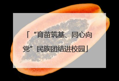 “育苗筑基、同心向党”民族团结进校园
